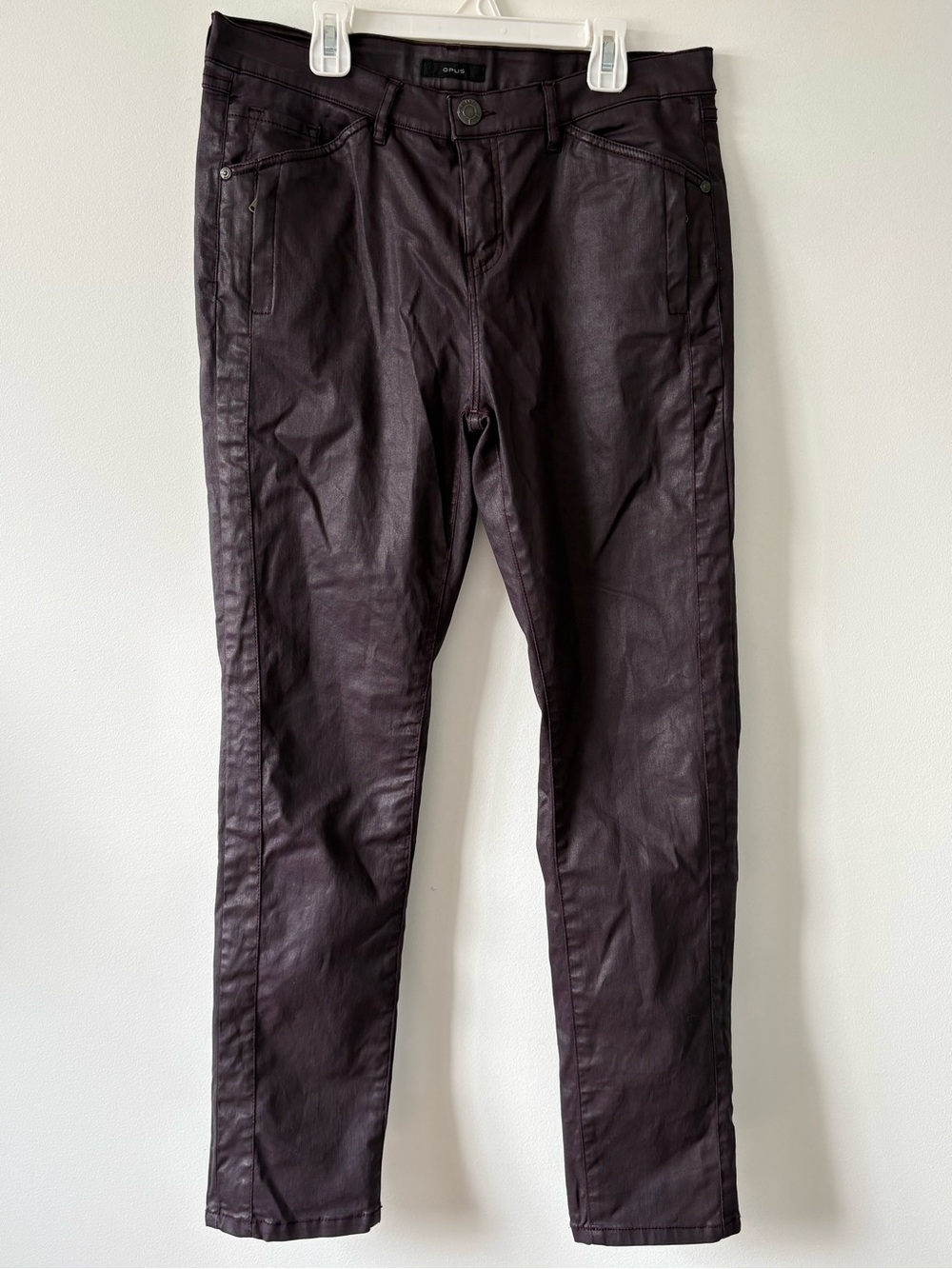 Express Men's Coated Chinos in Plum
